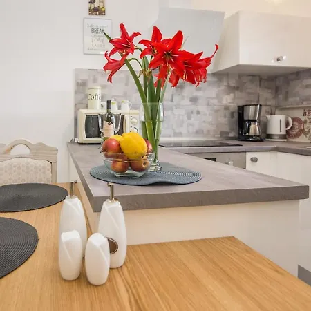 Apartman Velika Obala 2